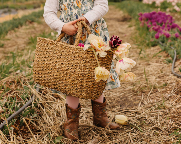 Oval Gathering Baskets | Will & Atlas