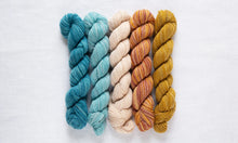 Load image into Gallery viewer, Fino Mini-Skein Kit | Manos Del Uruguay