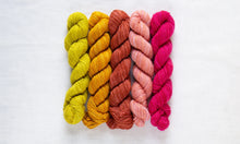 Load image into Gallery viewer, Fino Mini-Skein Kit | Manos Del Uruguay