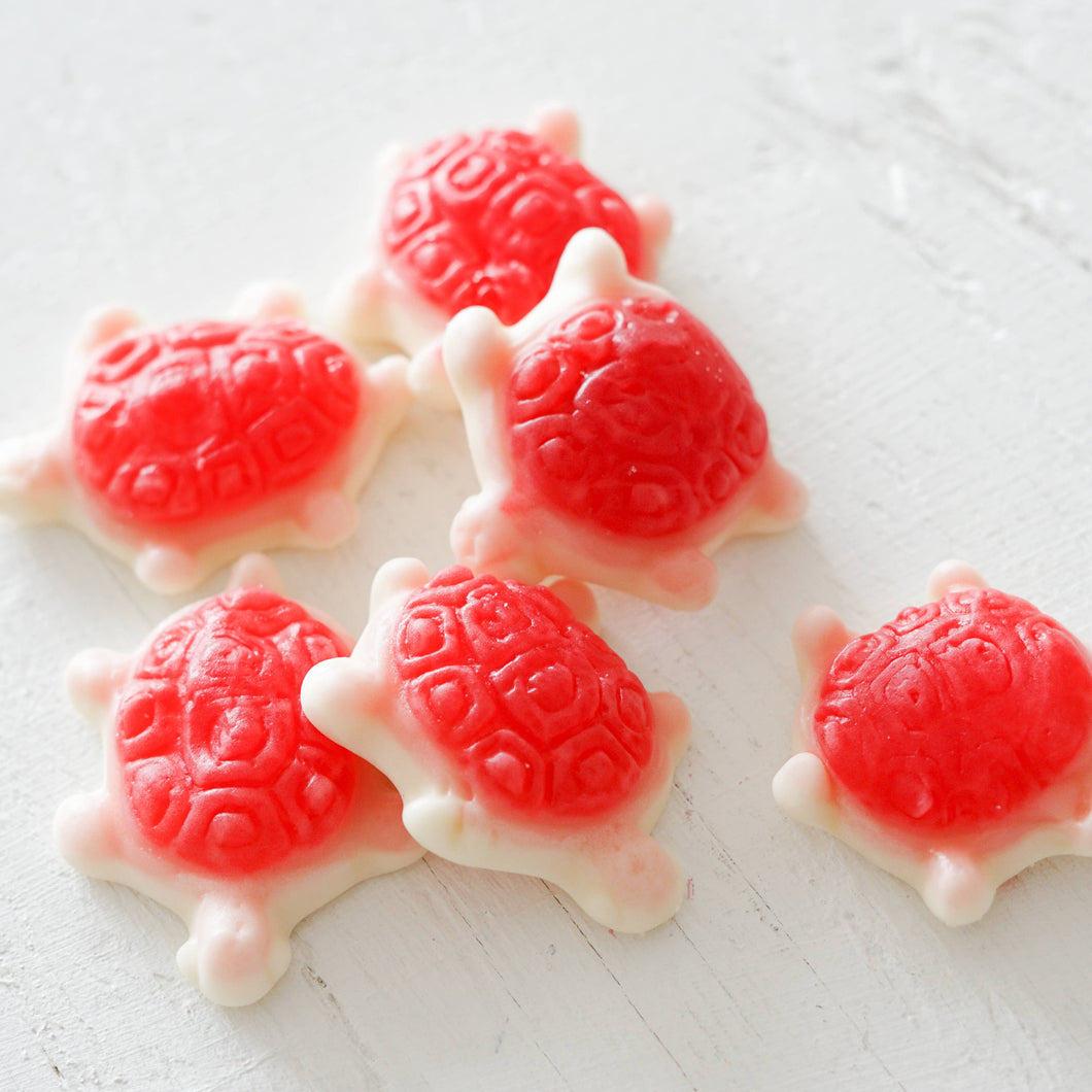 Sea Turtles Gummy Candies | La boîte à bonbons