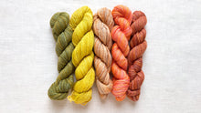 Load image into Gallery viewer, Fino Mini-Skein Kit | Manos Del Uruguay