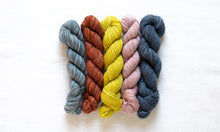 Load image into Gallery viewer, Fino Mini-Skein Kit | Manos Del Uruguay