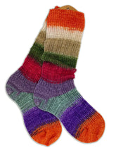 Load image into Gallery viewer, Solemates Sock Yarn | Freia Fibers