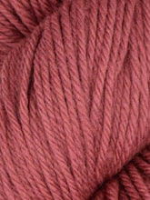 Load image into Gallery viewer, Falkland Worsted Yarn | Queensland Collection