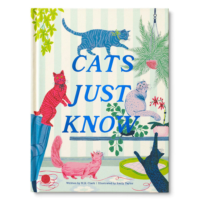 Cats Just Know | Compendium