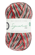 Load image into Gallery viewer, WYS Signature 4-Ply sock yarn | West Yorkshire Spinners