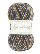 Load image into Gallery viewer, WYS Signature 4-Ply sock yarn | West Yorkshire Spinners