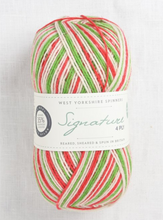 Load image into Gallery viewer, WYS Signature 4-Ply sock yarn | West Yorkshire Spinners