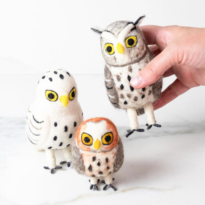 Felt Owls | The Winding Road