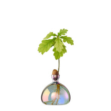 Load image into Gallery viewer, Acorn Vase | Ilex Studio