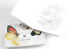 Load image into Gallery viewer, Natural History Watercolour Postcard Book | Pepin Press