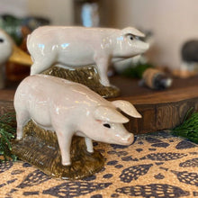 Load image into Gallery viewer, Salt &amp; Pepper Shakers | Quail Ceramics